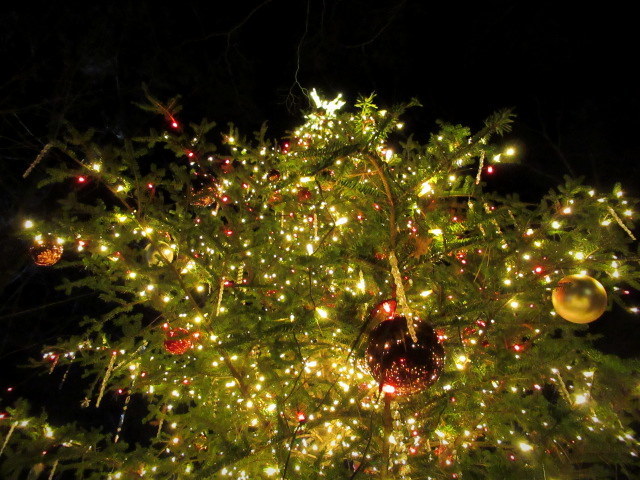 f0236260_02425912.jpg