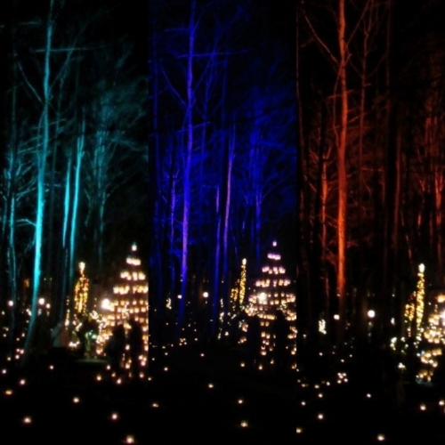 f0236260_04313551.jpg