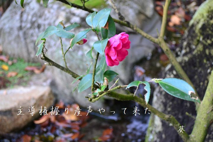f0379160_16380452.jpg
