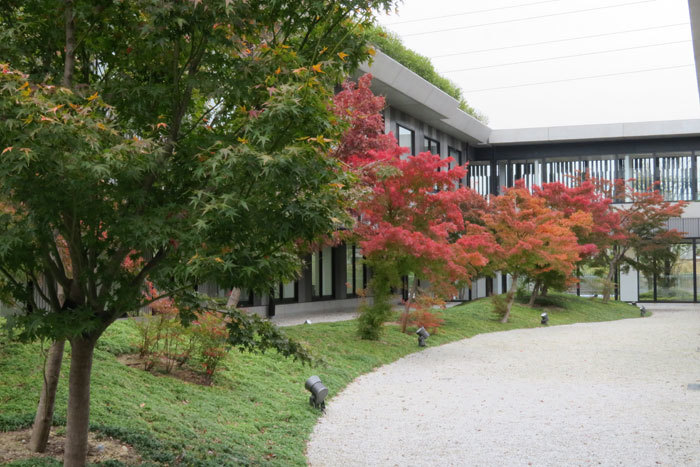 京都銀行金融大学桂川キャンパス 徒然に 京都銀行金融大学桂川キャンパス 徒然に