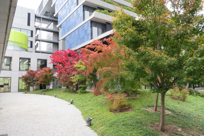 京都銀行金融大学桂川キャンパス 徒然に 京都銀行金融大学桂川キャンパス 徒然に