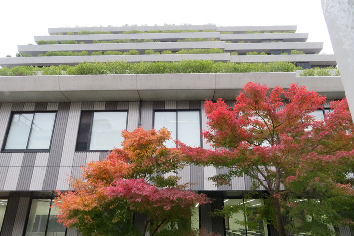 京都銀行金融大学桂川キャンパス 徒然に 京都銀行金融大学桂川キャンパス 徒然に