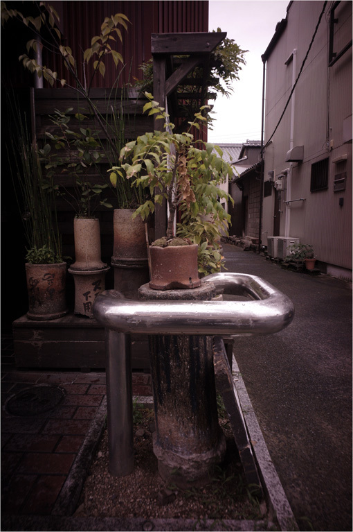 c0168172_11430444.jpg
