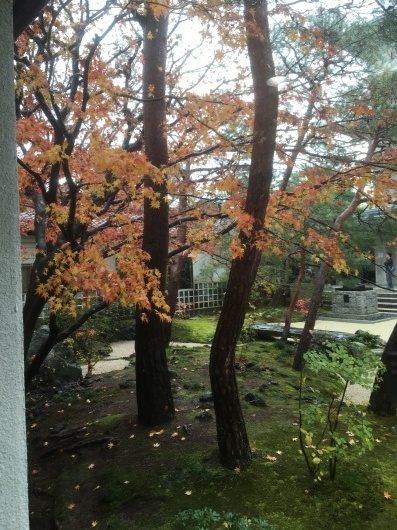 b0335376_23140100.jpeg