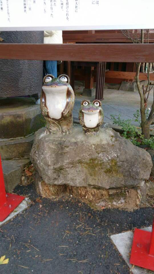 遠くから通っています。_d0388376_10365819.jpg