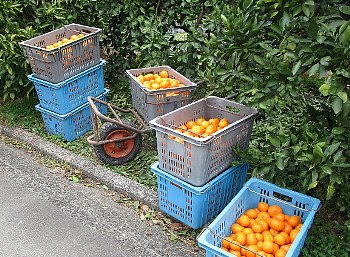 f0003283_08191319.jpg