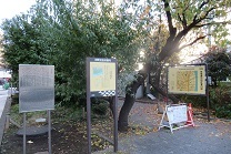 d0183387_19415383.jpg