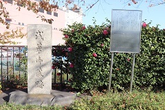 d0183387_23500190.jpg