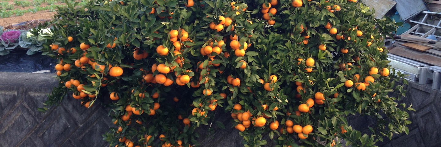 c0170789_13463920.jpg