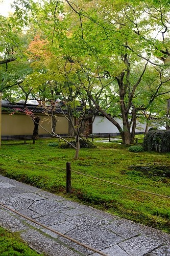 b0119493_00145164.jpg