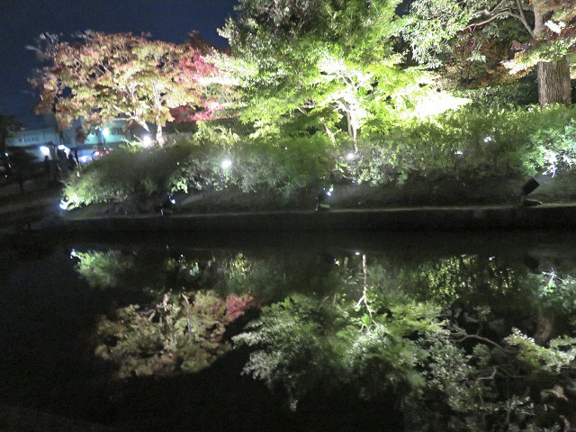 f0346196_16025621.jpg