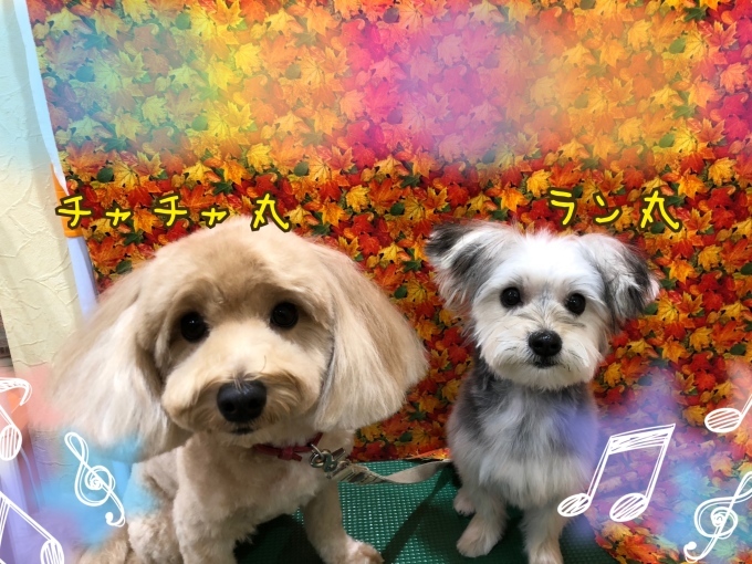 d0269898_11171926.jpeg