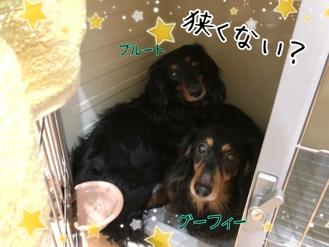 d0269898_11175848.jpeg