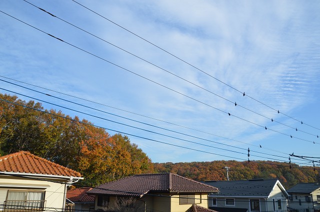 c0124100_16014375.jpg