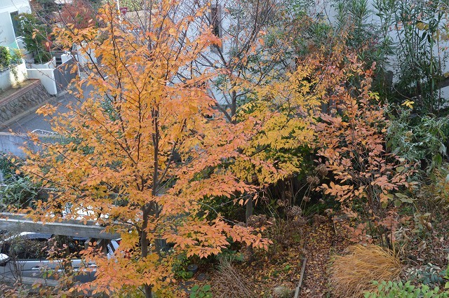 c0124100_18040181.jpg