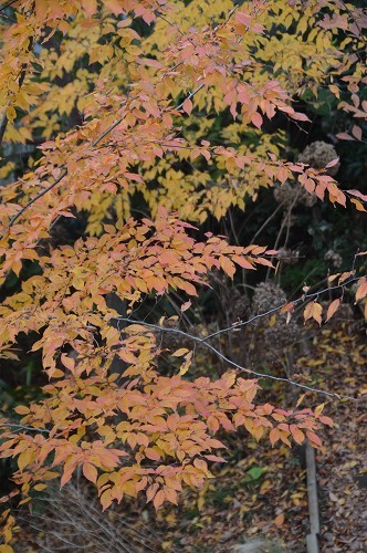 c0124100_18045910.jpg