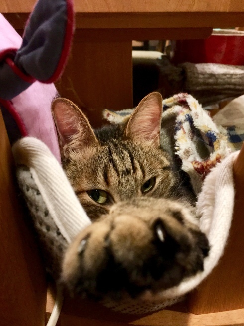 c0362401_12243373.jpeg