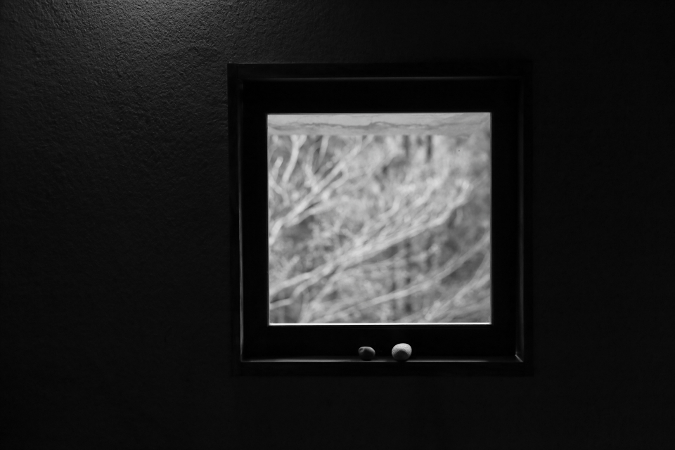 d0354901_16095970.jpeg