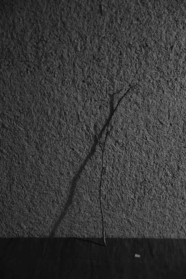 d0354901_16102112.jpeg