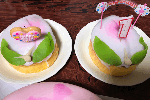 1歳のお誕生日がきた！_d0191206_23514661.gif