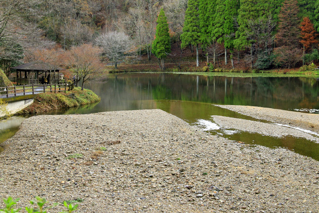 b0014607_21131586.jpg