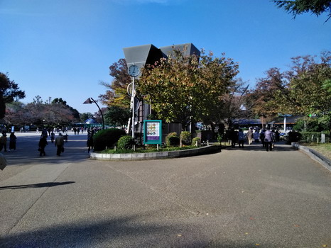 c0137507_18455476.jpg