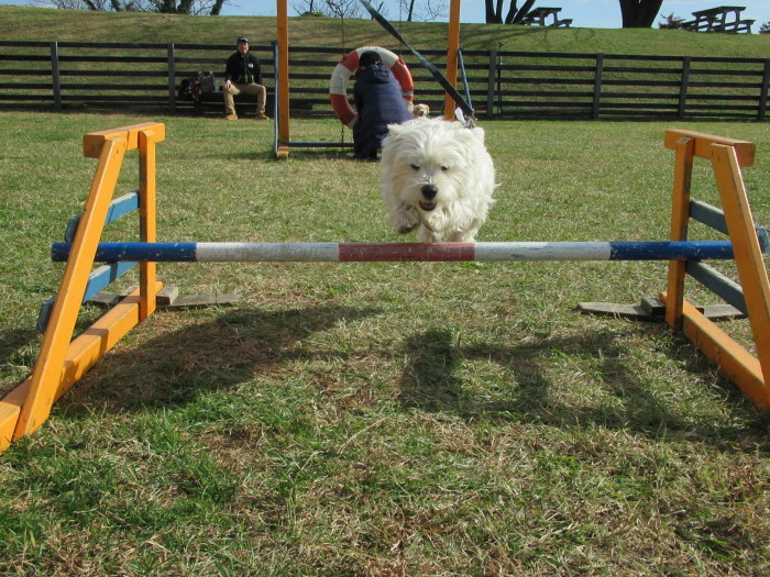 f0039907_13271326.jpg