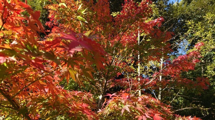 f0039907_15331866.jpg