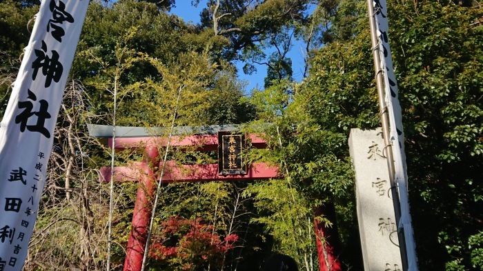 f0039907_15331868.jpg