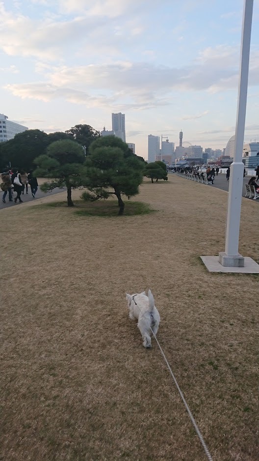 横浜でパンケーキ食べてきました。_f0039907_15443393.jpg