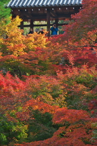 a0263109_11113637.jpg
