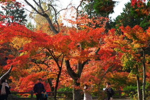a0263109_11140662.jpg