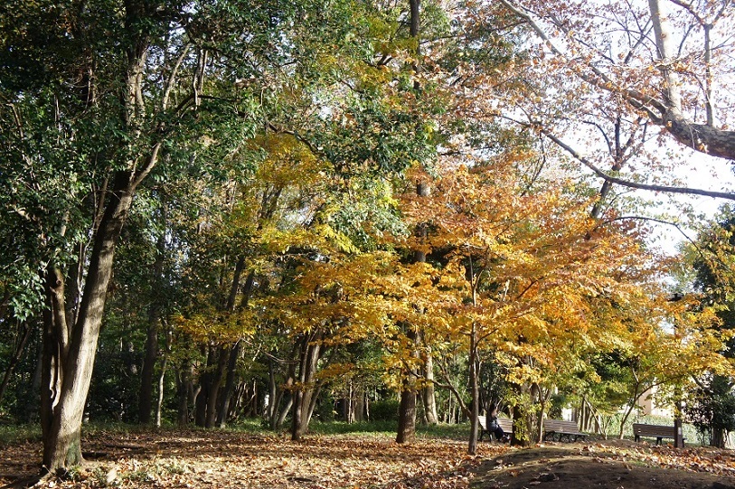 b0112909_18402276.jpg