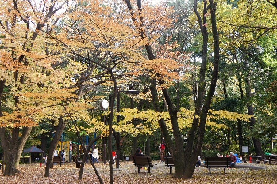 b0112909_18412751.jpg