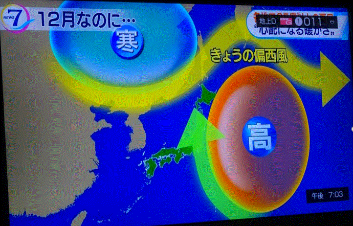 師走で最高気温が25度以上の「夏日・寒暖差疲労に注意！…2018/12/4_f0231709_23533887.gif