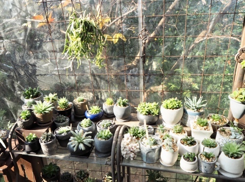 d0179410_12141520.jpeg