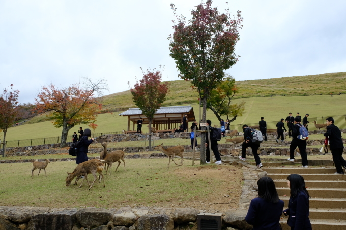 奈良の旅 その2_e0000910_13573690.jpg