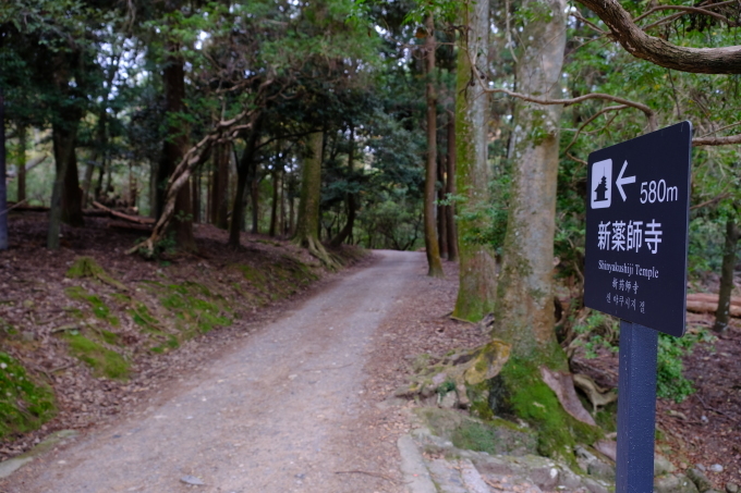 奈良の旅 その2_e0000910_14005839.jpg