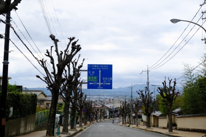 奈良の旅 その2_e0000910_14025940.jpg