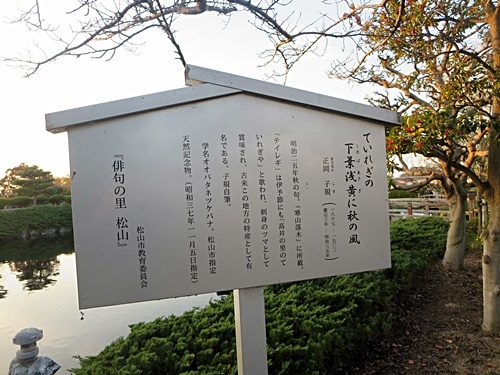 f0060310_15105522.jpg