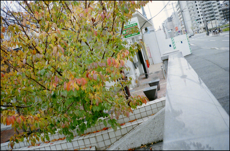 c0176622_13491536.jpg