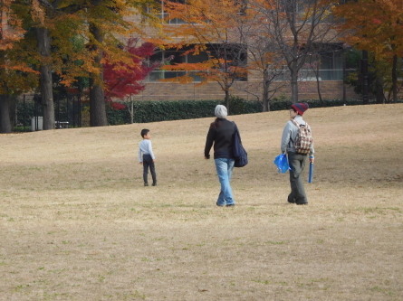 「冬入りの柏の宮公園付近」歩く＃15_b0089323_10444851.jpg