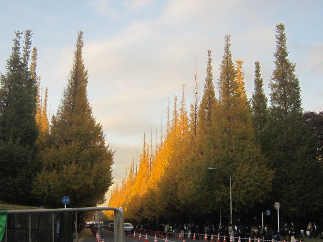 d0162225_23481700.jpg