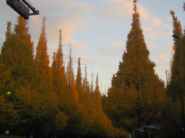 d0162225_23525059.jpg