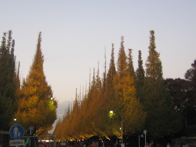 d0162225_23561705.jpg