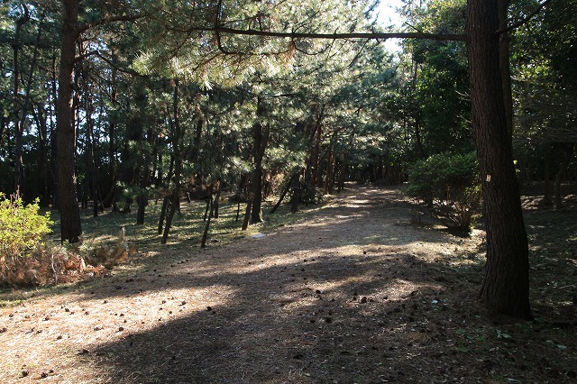 e0321325_19163319.jpg