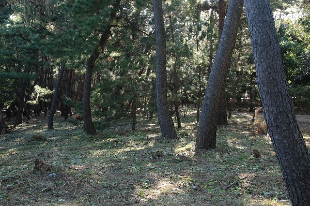 e0321325_19173658.jpg