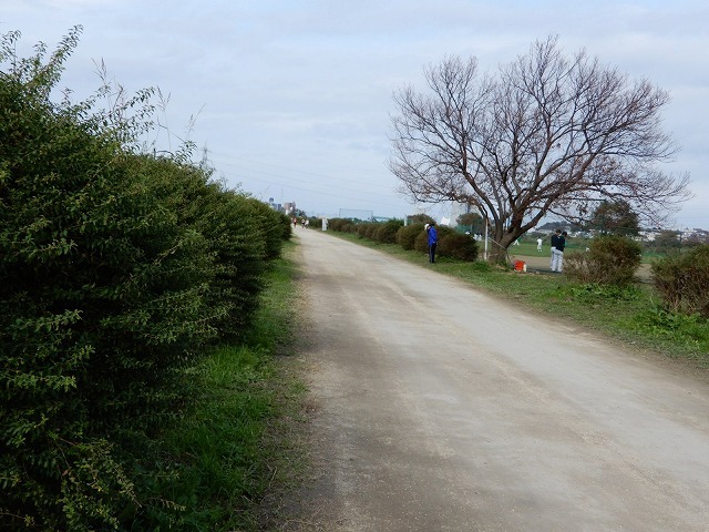 b0166128_10242289.jpg