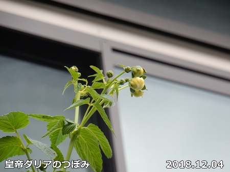 e0033229_17304933.jpg