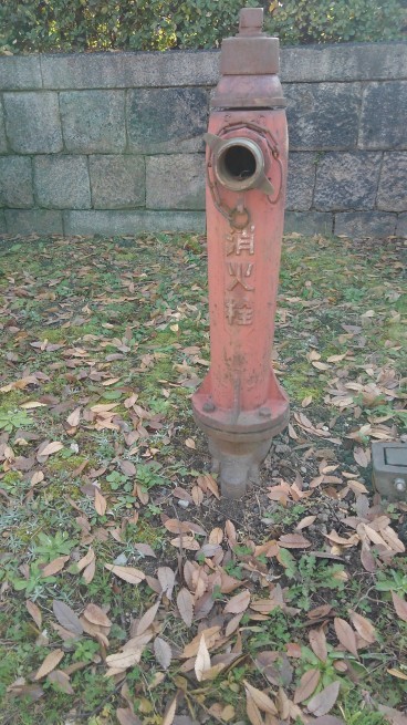 c0236632_23285959.jpg